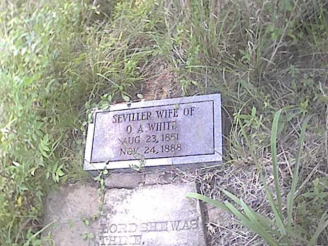 Graves, Seviller