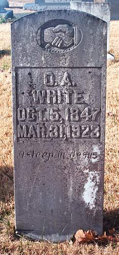 White, Olynthus Alison