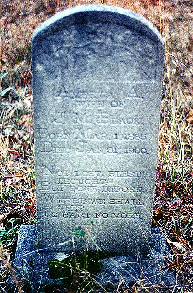 Sizemore, America A.