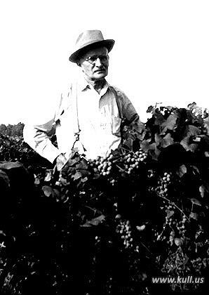 Fred Kull in his vinyard