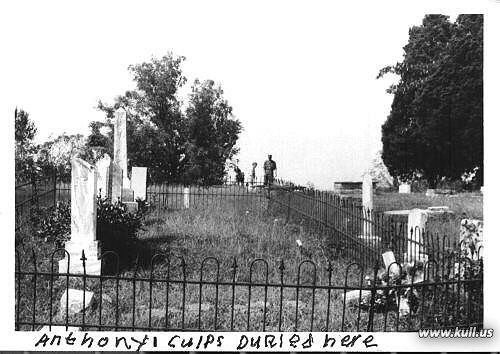Burial location for William Anthony Culps.
