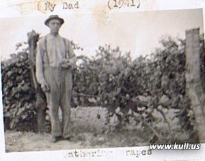 Julius Kull in his vinyard